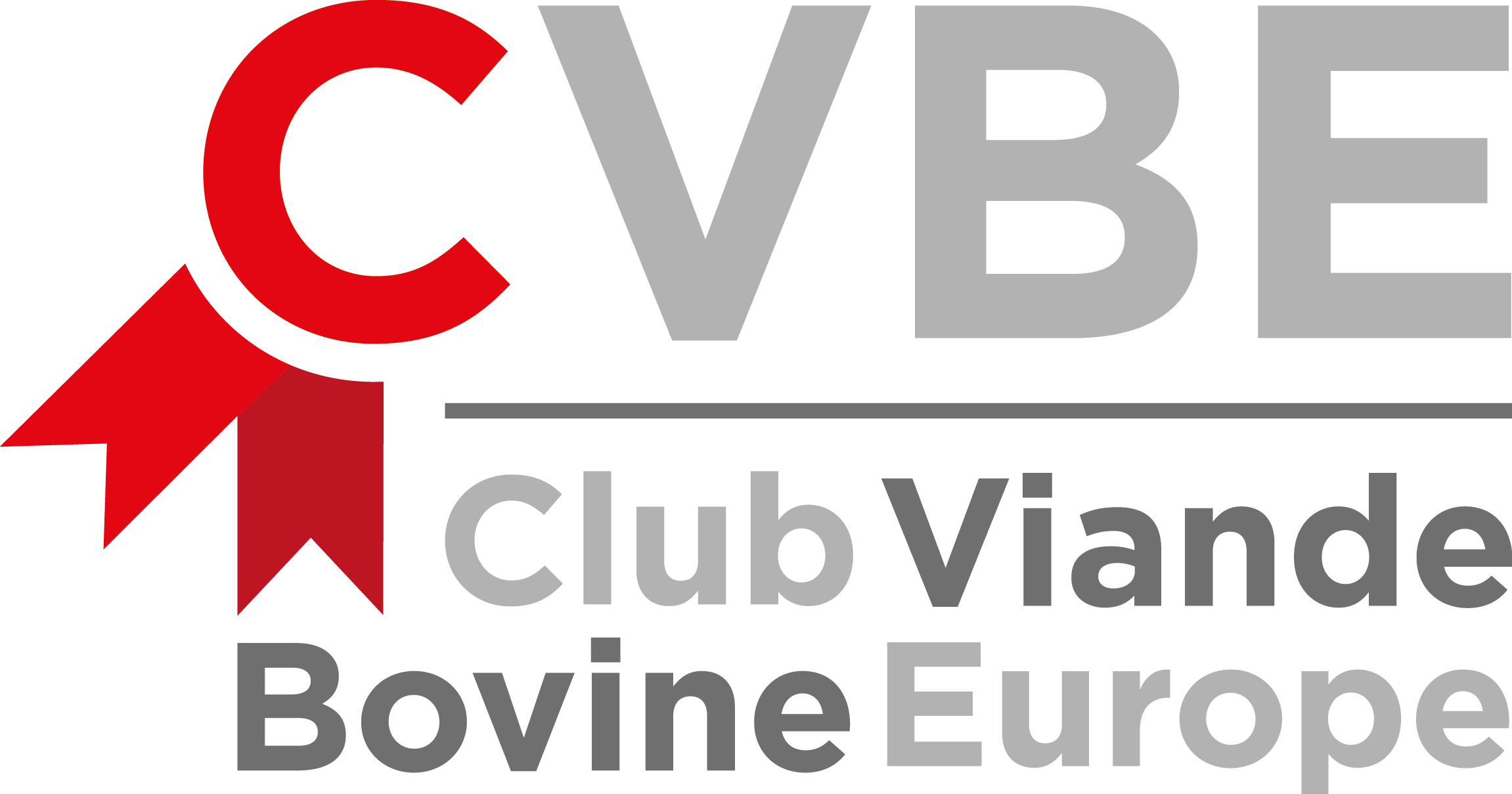 LogoCVBEcolor